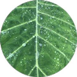 Profile photo of Scott Jeffery