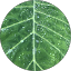 Profile photo of Scott Jeffery