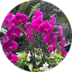 Profile photo of Zeibra Lemley