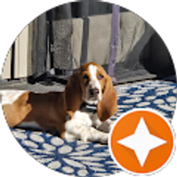 Profile photo of Kim Hobbs-Terrell