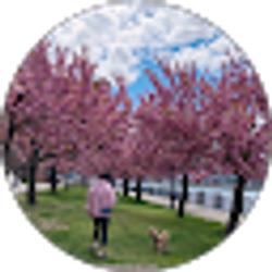 Profile photo of nicole sun