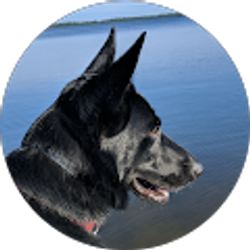 Profile photo of Cheryl Droope