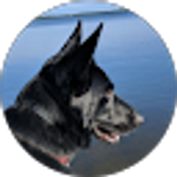 Profile photo of Cheryl Droope