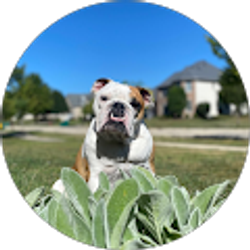 Profile photo of Tara Tipner