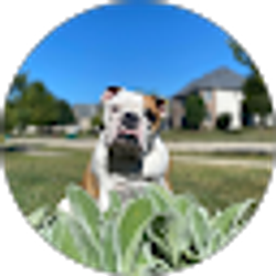 Profile photo of Tara Tipner