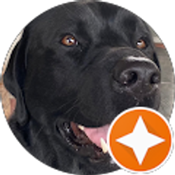 Profile photo of Laura Nolan