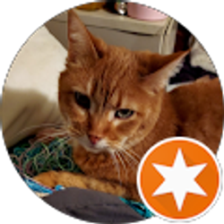 Profile photo of jessie meadows