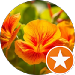 Profile photo of Chazz Cornelius