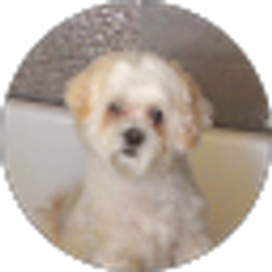 Profile photo of Julio C Garcia