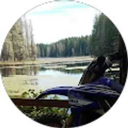 Profile photo of Willi Whitfield