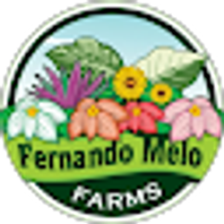 Profile photo of Fernando Melo