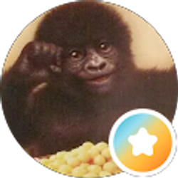 Profile photo of Emerson Herrera