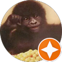 Profile photo of Emerson Herrera