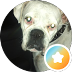 Profile photo of chris schleifer