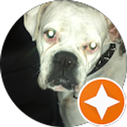 Profile photo of chris schleifer