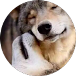 Profile photo of Mark “Wolfie” Wolf