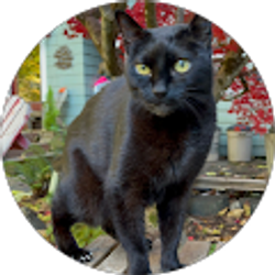 Profile photo of Lisa Wolf