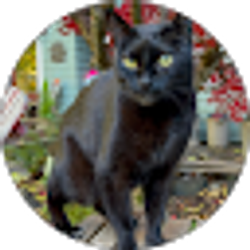Profile photo of Lisa Wolf
