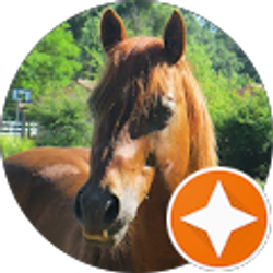 Profile photo of Lisa Vandermeer