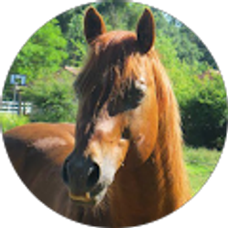 Profile photo of Lisa Vandermeer