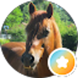 Profile photo of Lisa Vandermeer