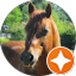 Profile photo of Lisa Vandermeer