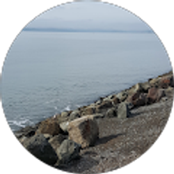 Profile photo of Alysia O'Neal