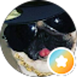 Profile photo of T