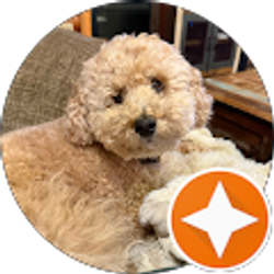 Profile photo of Gary Glandon