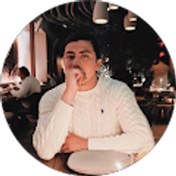Profile photo of ronaldo vidals