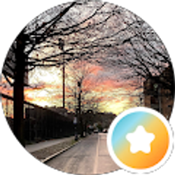 Profile photo of M