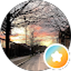 Profile photo of M
