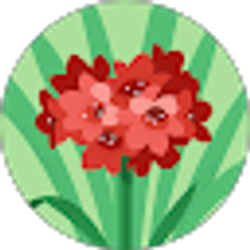 Profile photo of Amanda Dos Santos