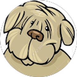 Profile photo of Angela F