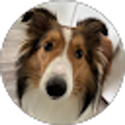 Profile photo of Eric Michie