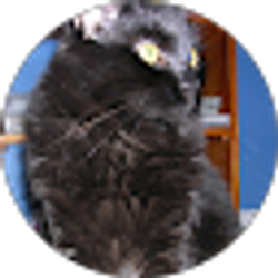 Profile photo of Alex Emory