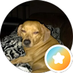 Profile photo of scott weatherley