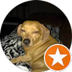 Profile photo of scott weatherley