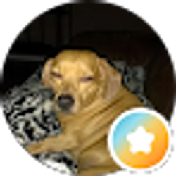 Profile photo of scott weatherley