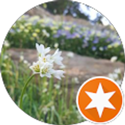 Profile photo of Nicole