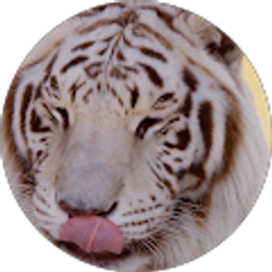 Profile photo of Christopher Dean