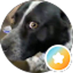 Profile photo of Brian Leonard