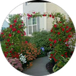 Profile photo of Tầm vu quê tôi