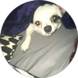 Profile photo of Mike Puckett