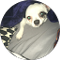 Profile photo of Mike Puckett