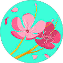 Profile photo of Shannan Petrocelli