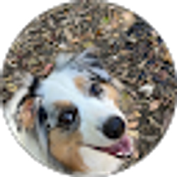 Profile photo of Maria Langridge