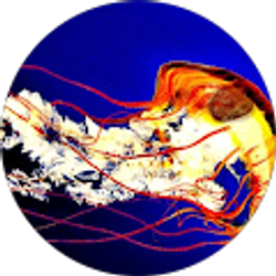 Profile photo of Nathan Murphy