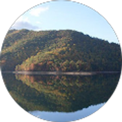 Profile photo of Sherry Teal