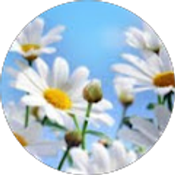 Profile photo of Agie Lunsford